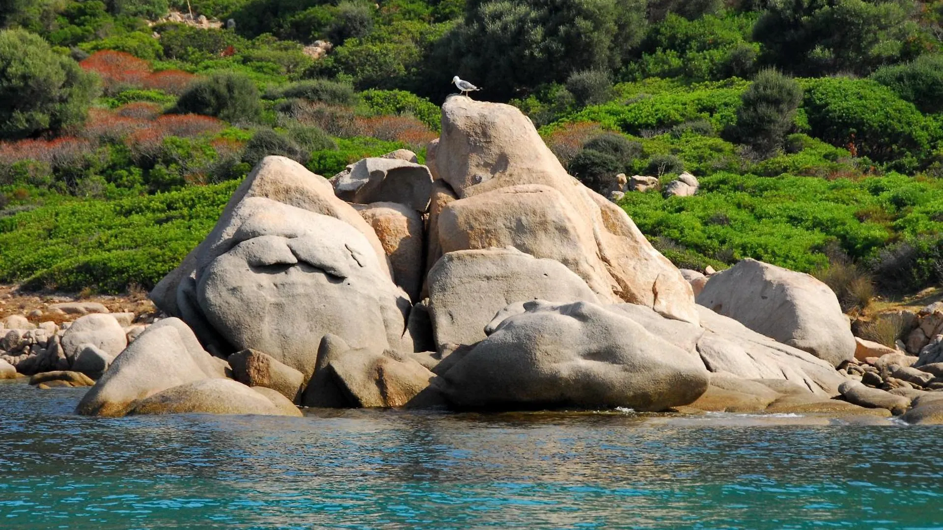 Affittacamere Hotel Le Isole Di San Teo San Teodoro